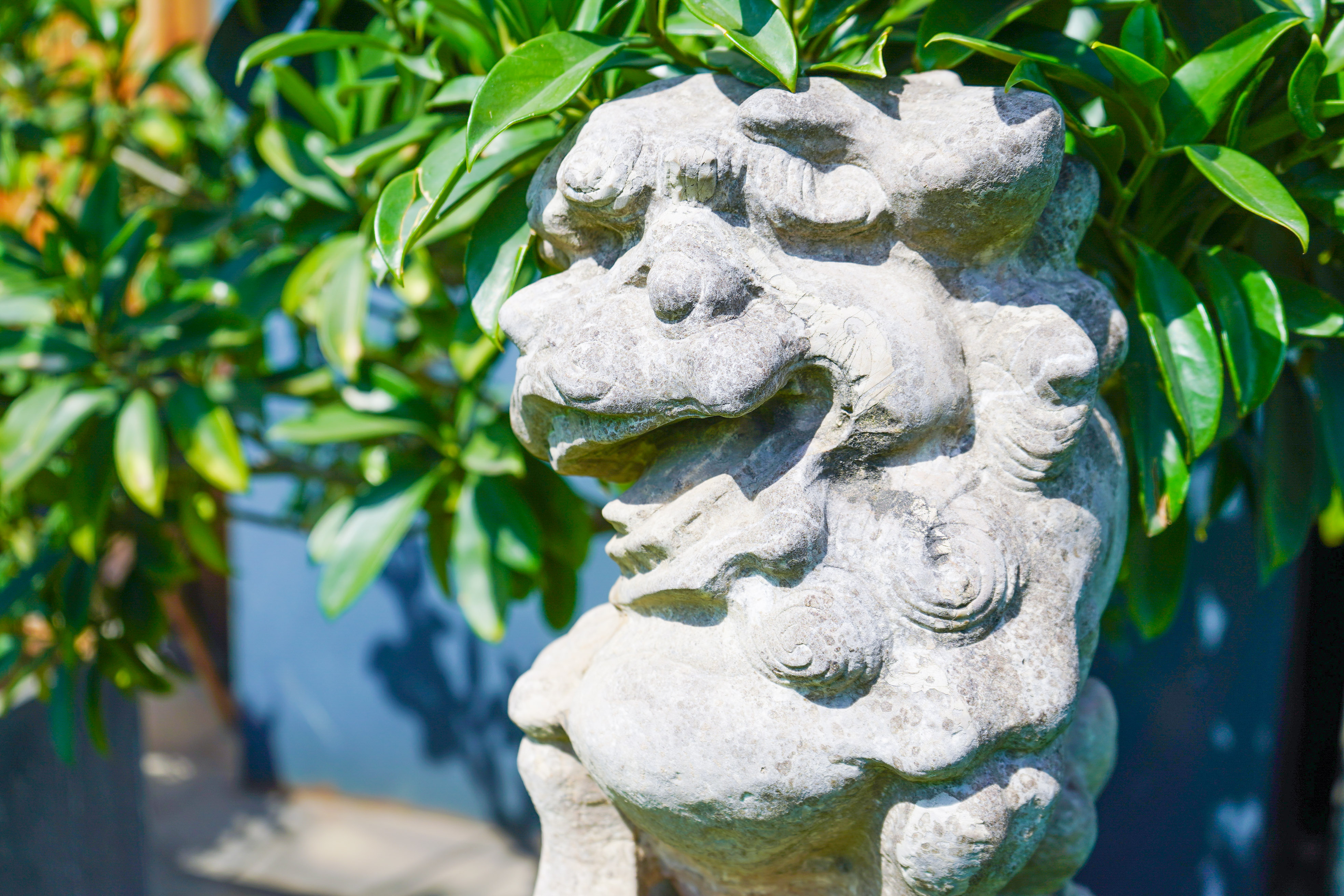 1693962255153784.jpg 1693962255153784.jpg