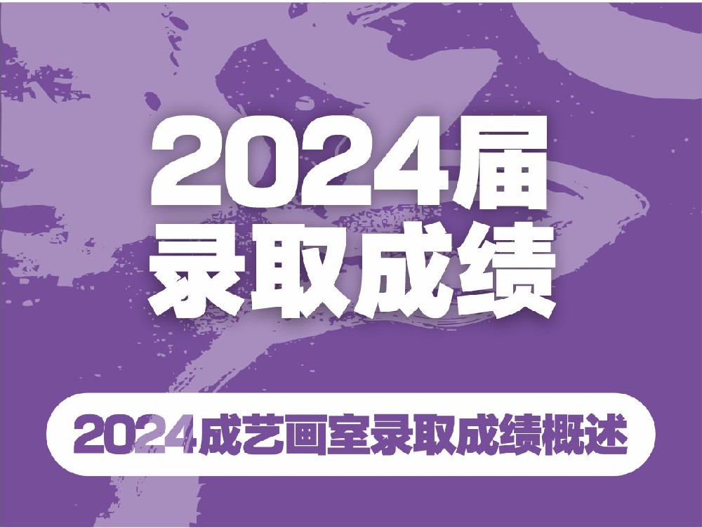 成艺画室2024届录取成绩概述